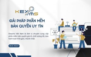 đơn vị ekeyms