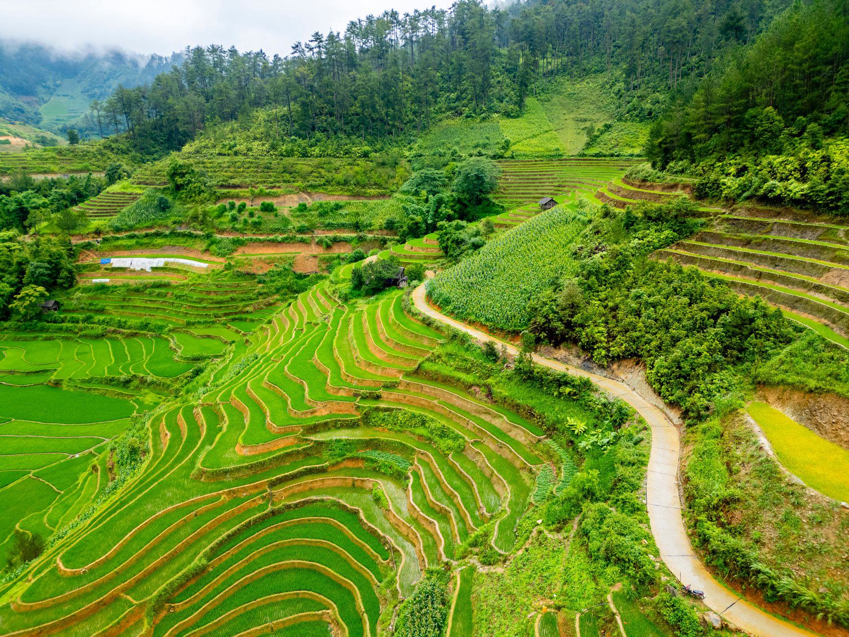 Trải nghiệm Sapa Motorbike City Tours cho người muốn tạm rời màn hình Trải nghiệm Sapa Motorbike City Tours cho người muốn tạm rời màn hình